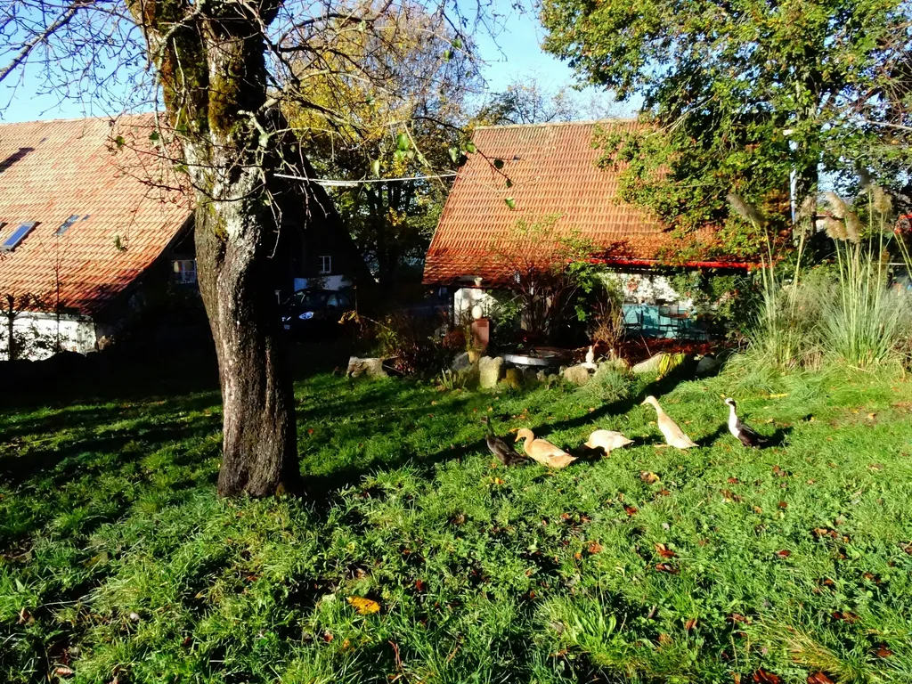 Traumhaft übernachten unter Sternen