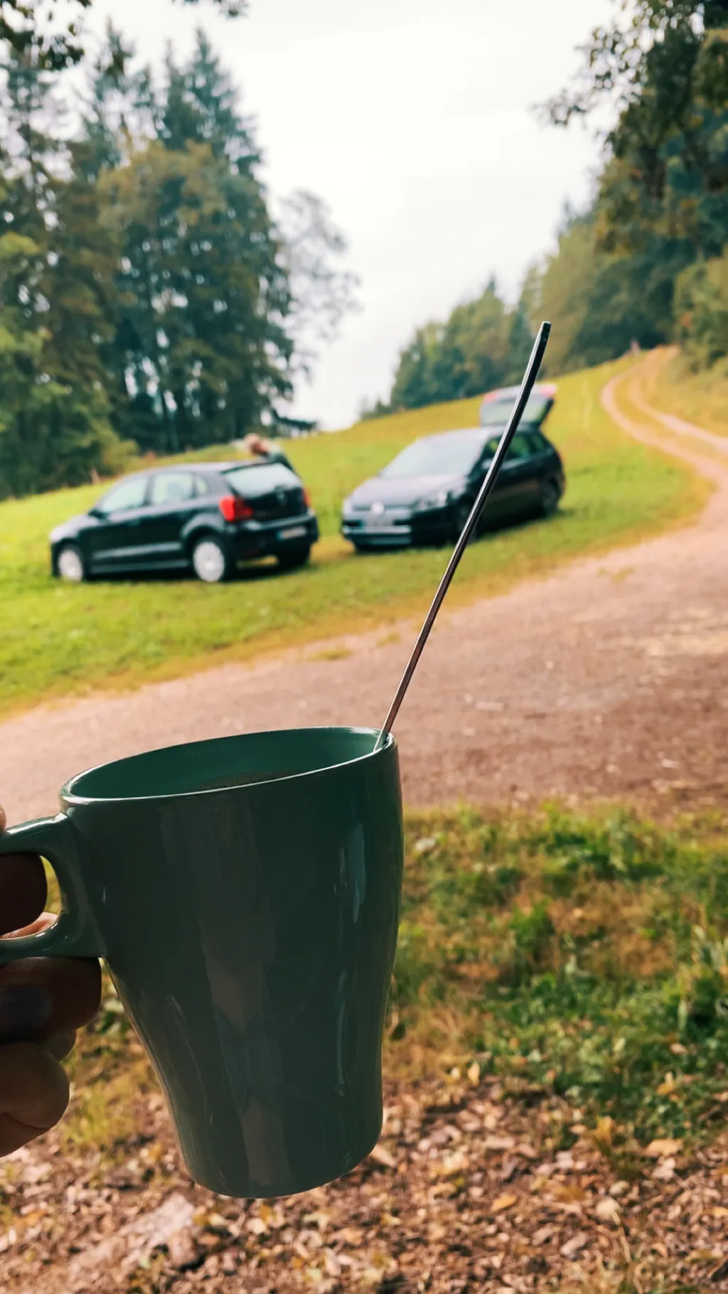 Bild von Silke für den Spot 1308