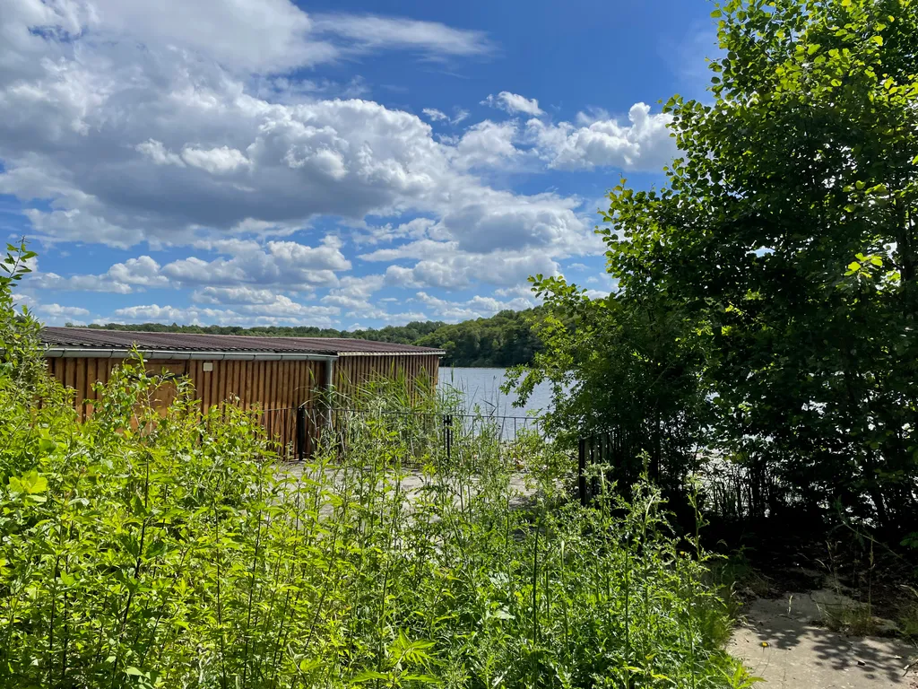Der wilde Garten