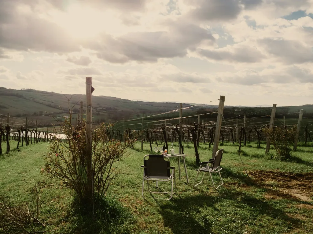 Azienda Biologica Bartolacci