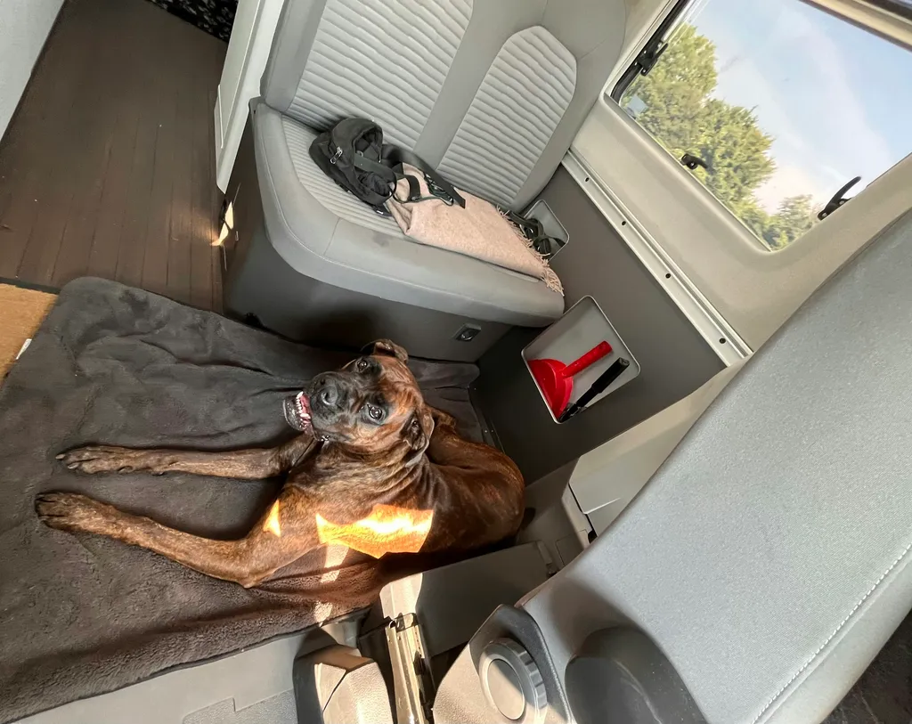 Profilbild von Heike