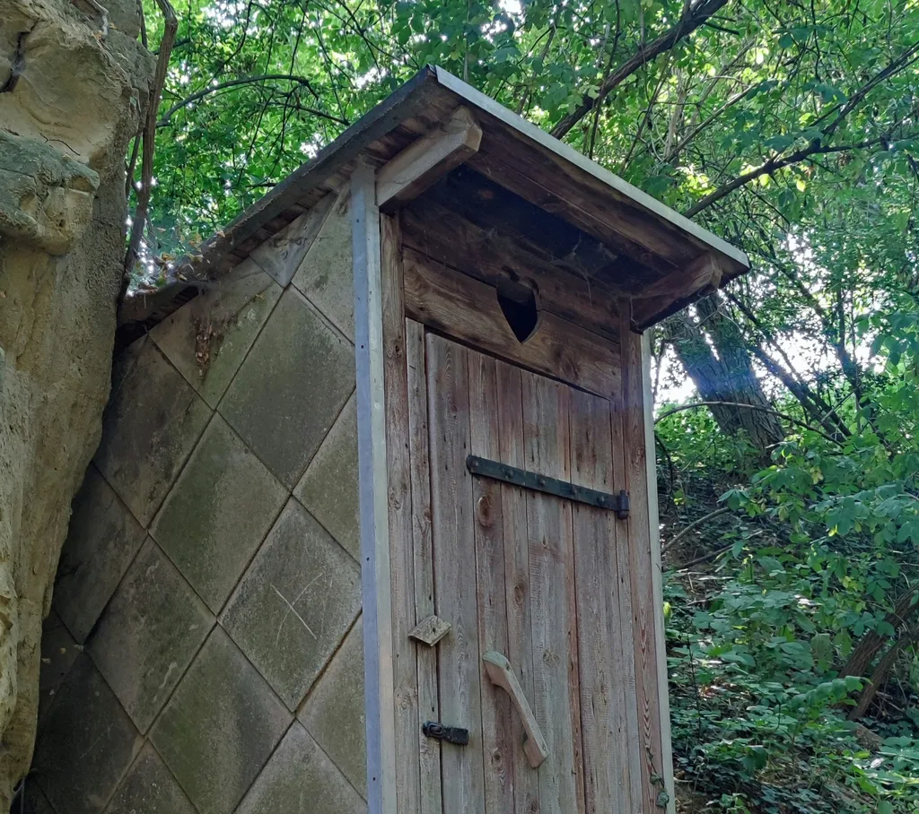 Idyllische Wiese & Traisentalblick