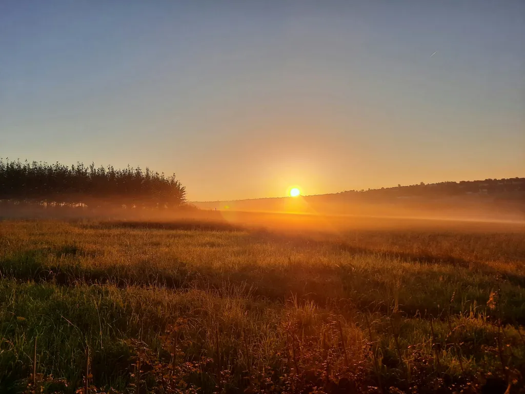 Erholsamer Bauernhofurlaub Südeifel