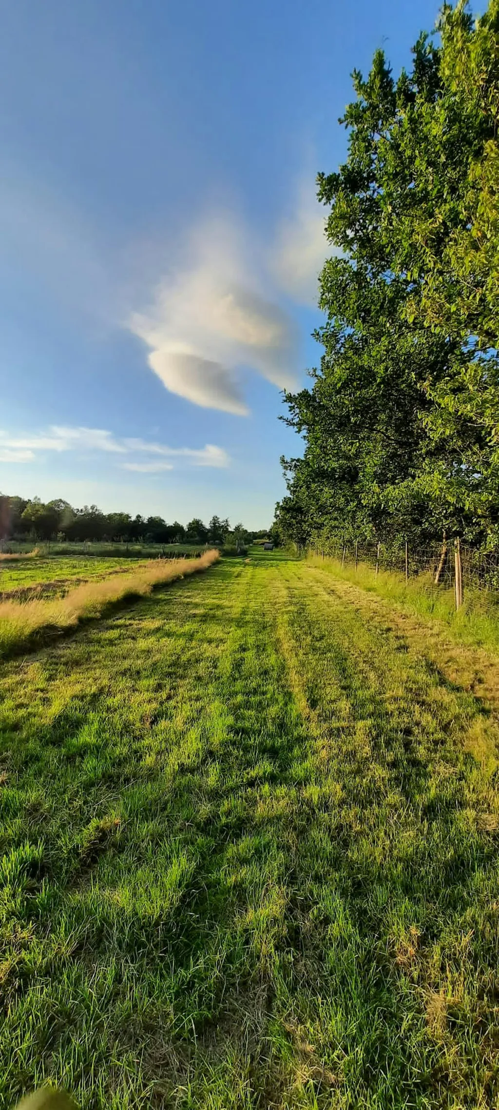 Getaway - Glamping auf einem Biohof