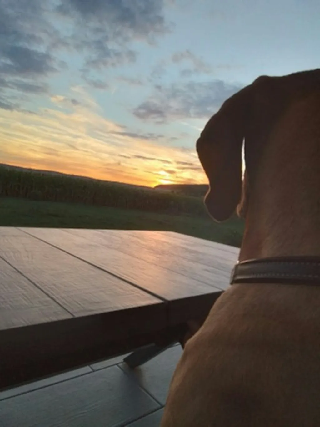 Den Sonnenuntergang genießen