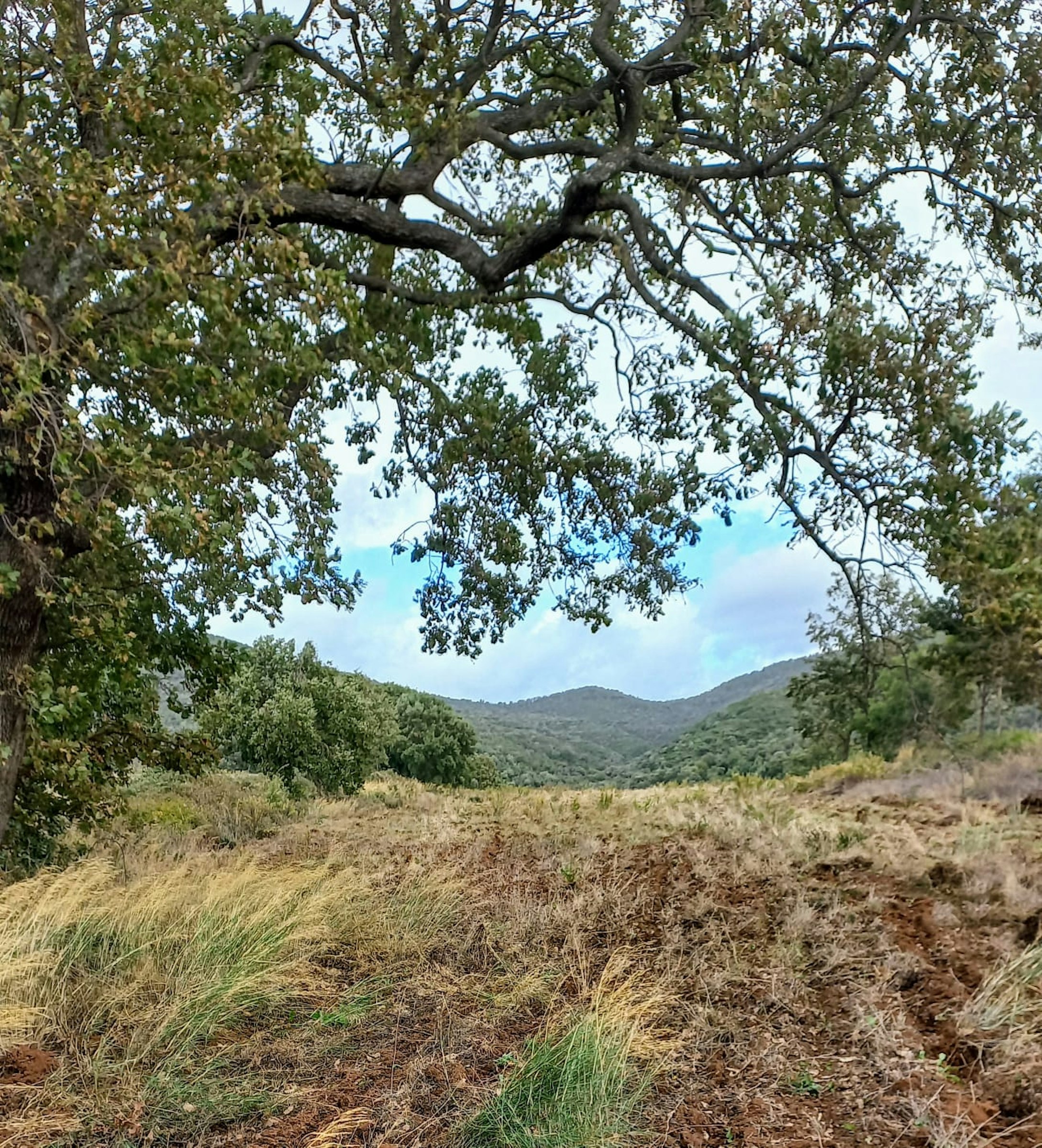Landgut in der Maremma, Toskana