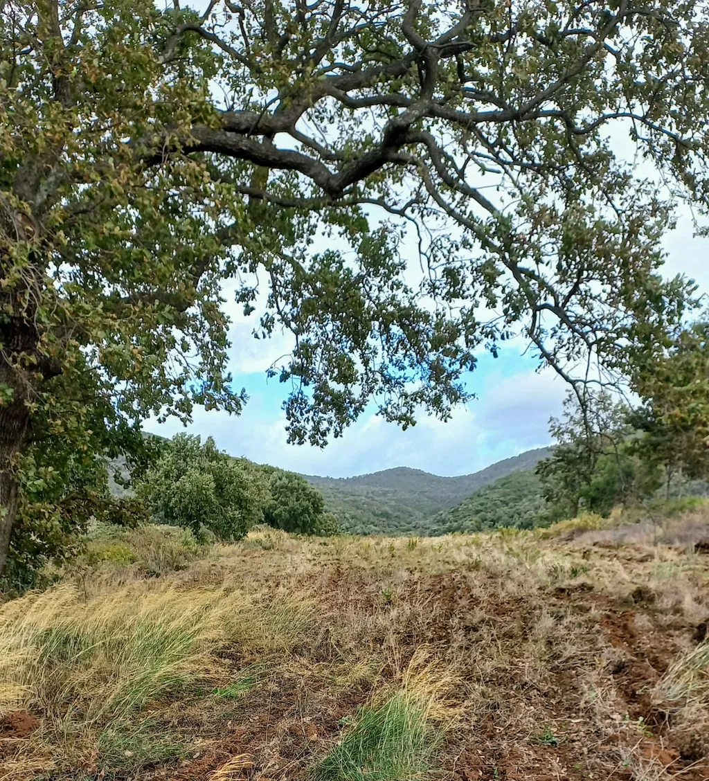 Landgut in der Maremma, Toskana