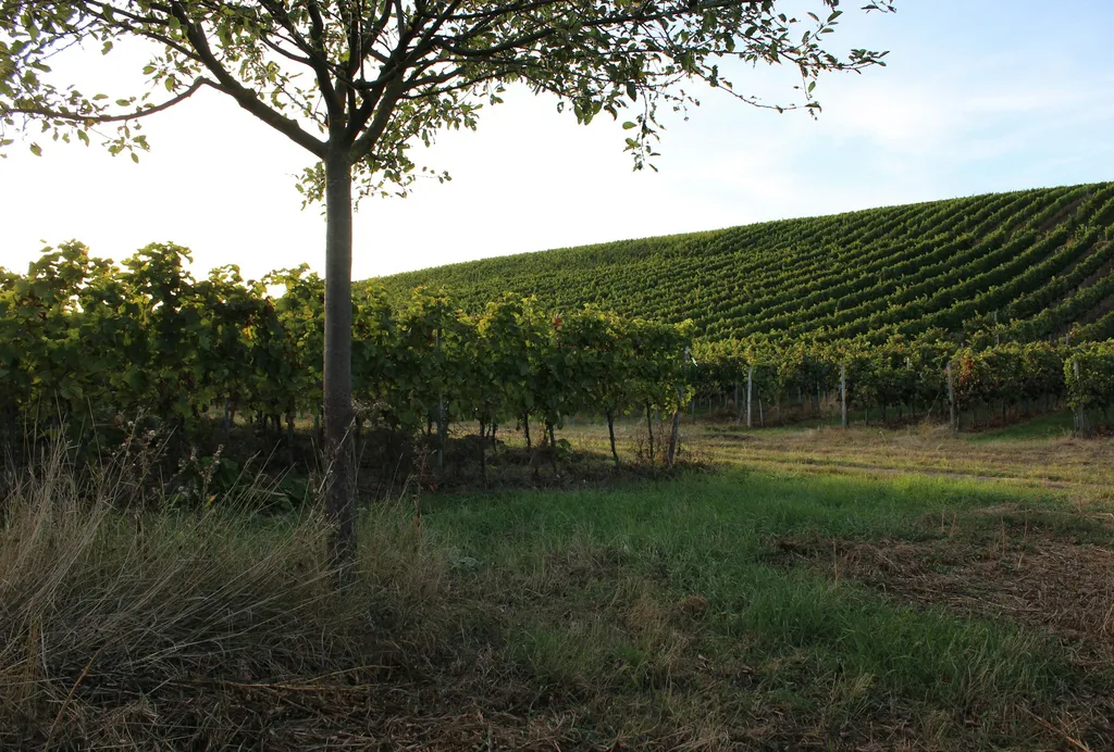 Zeltplatz mit Panoramaausblick