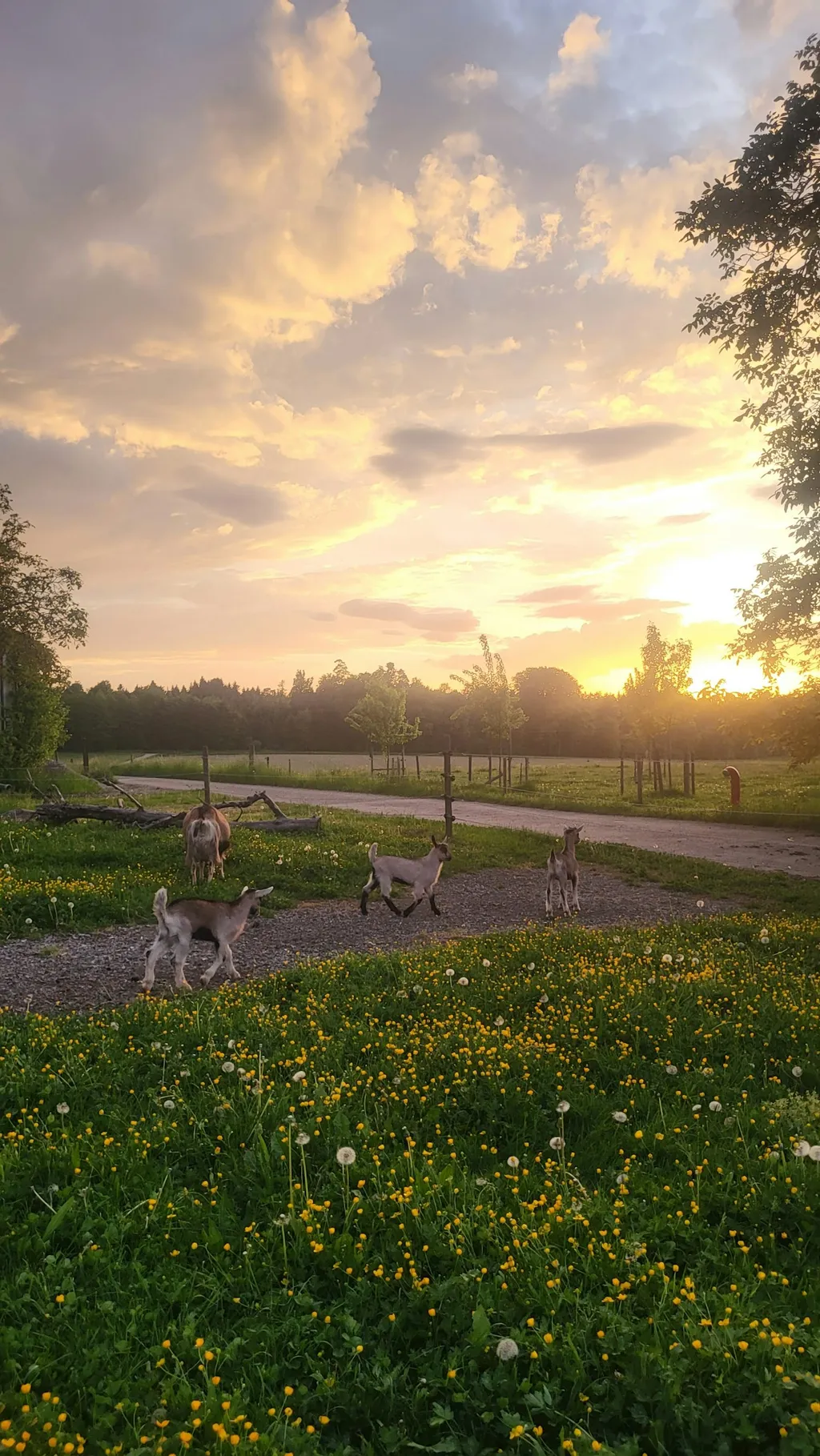 Haselhof erleben und verweilen