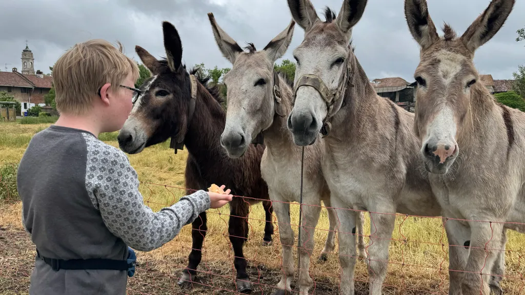 Bild von Johan en Lianne für den Spot 1124