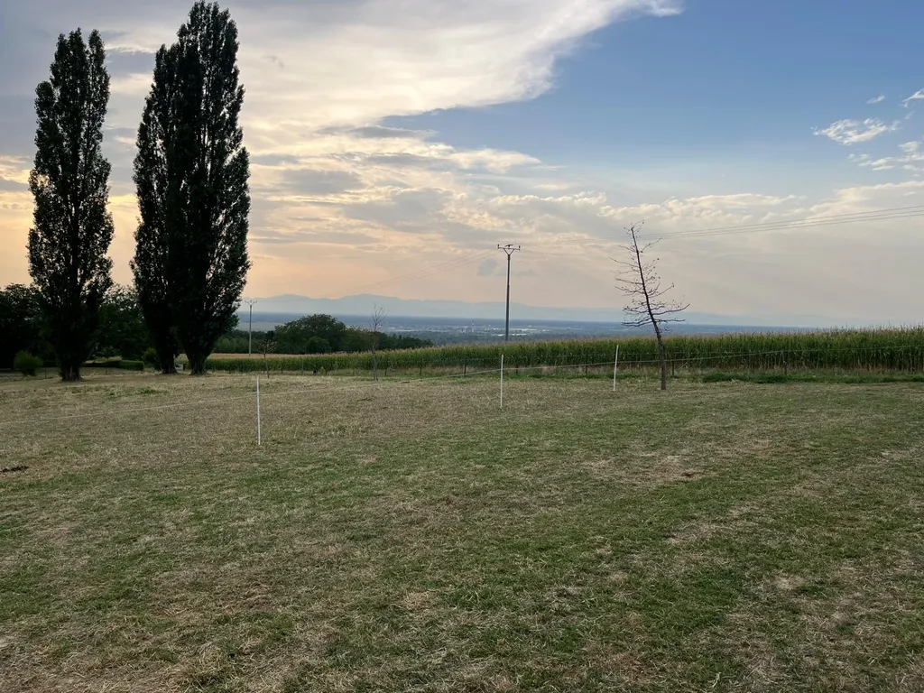 Wiese am Bauernhof mit Panoramablick Berge Fluss