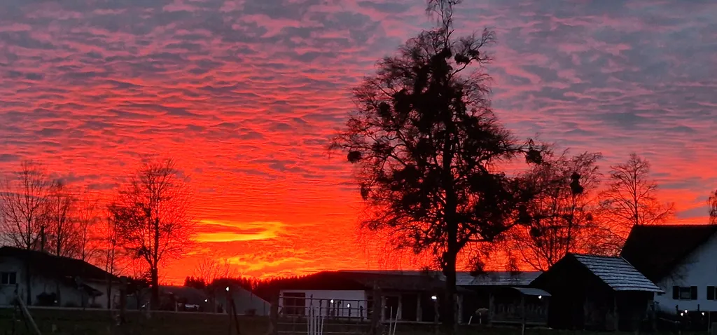 Herrlicher Sonnenaufgang am Hof