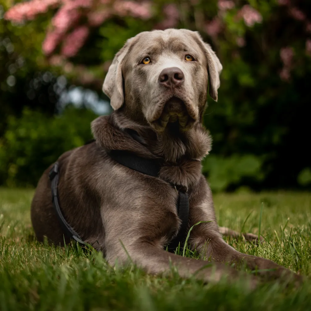 Profile picture of René