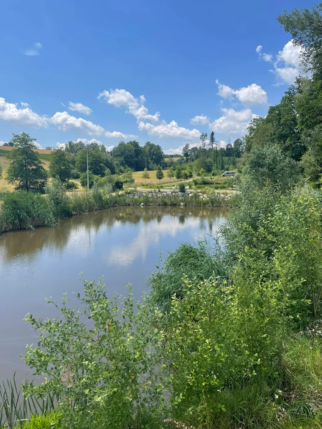 Wilde Heimat 2, Campen am Tinyhaus