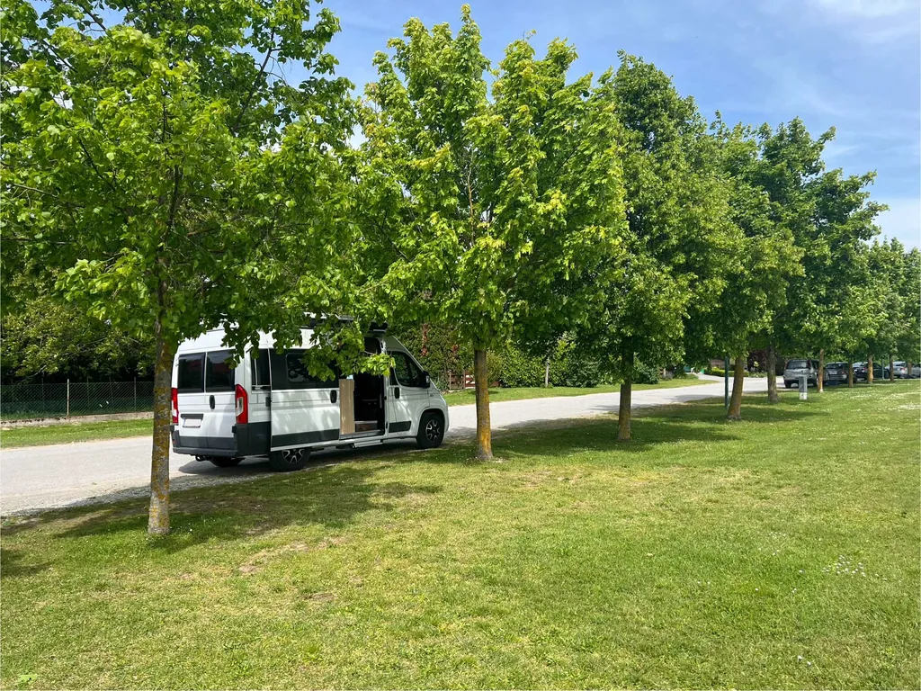 m9ujn2rlrz66lkn3yc8sqg3j