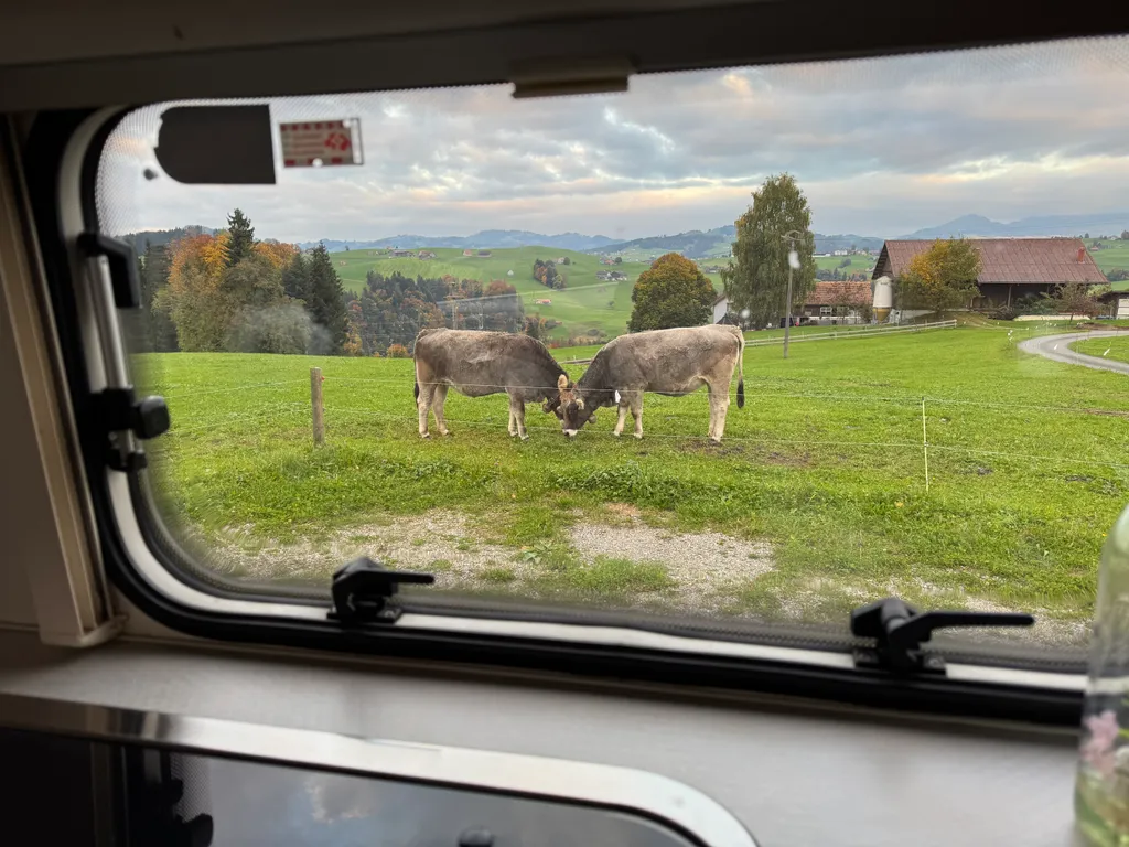 Bild von Olivier für den Spot 1136