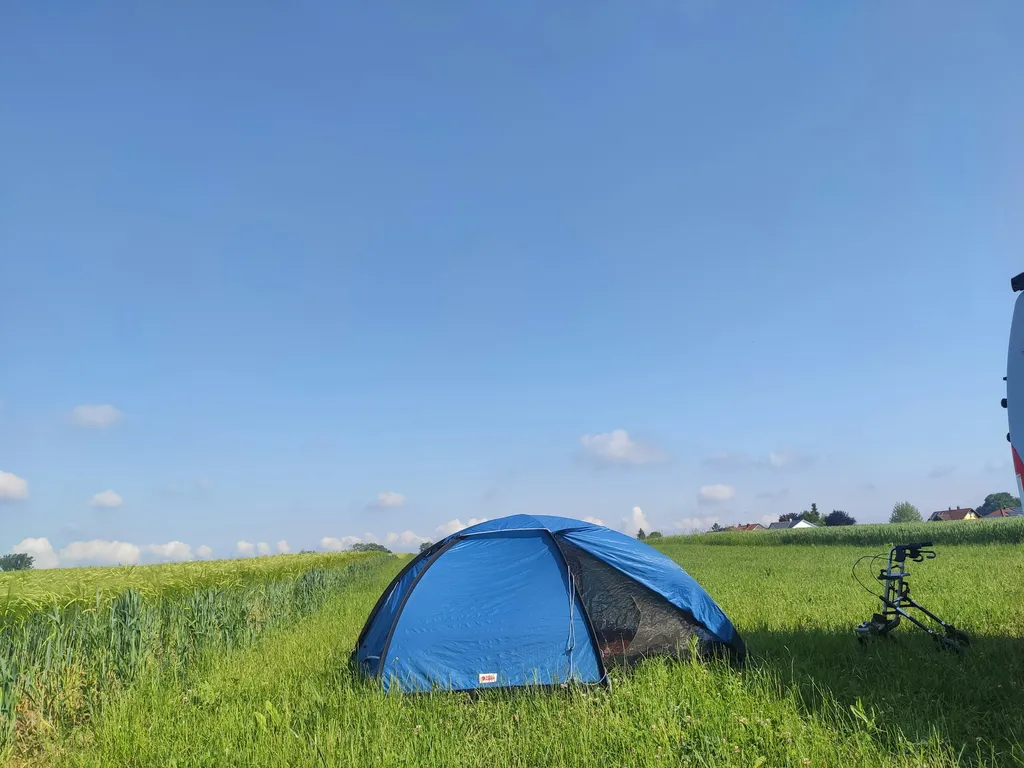 Wiese mit Blick auf die Kuhweide