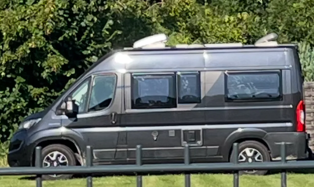Grüne Auelandschaft unweit des Wallendorfer See