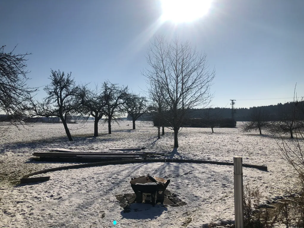 Obstwiese mit Weitblick am Waldrand