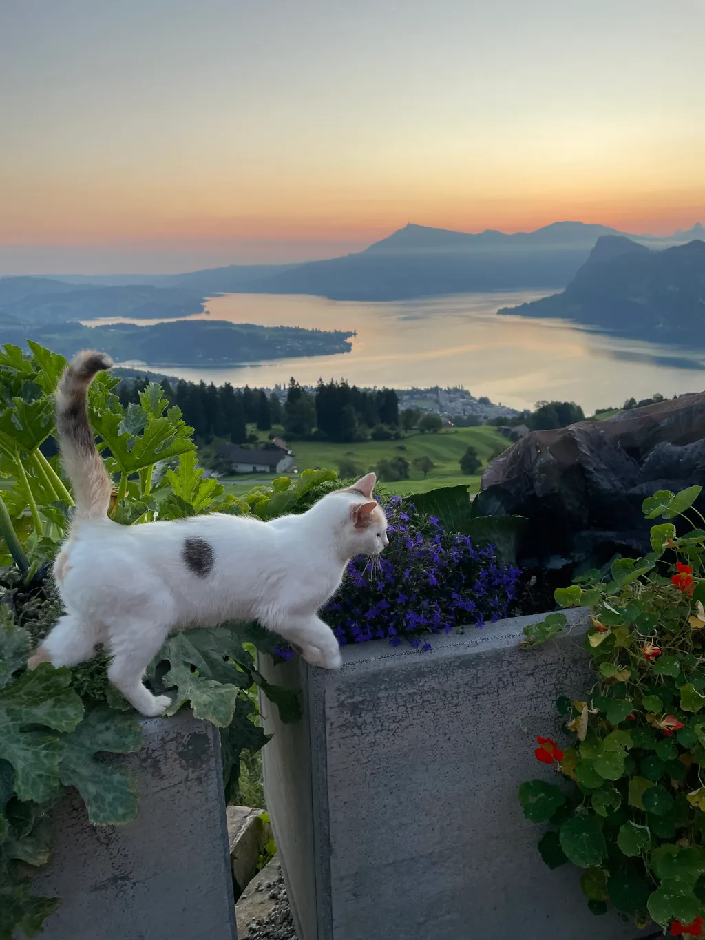 Bild von Britta für den Spot 3979