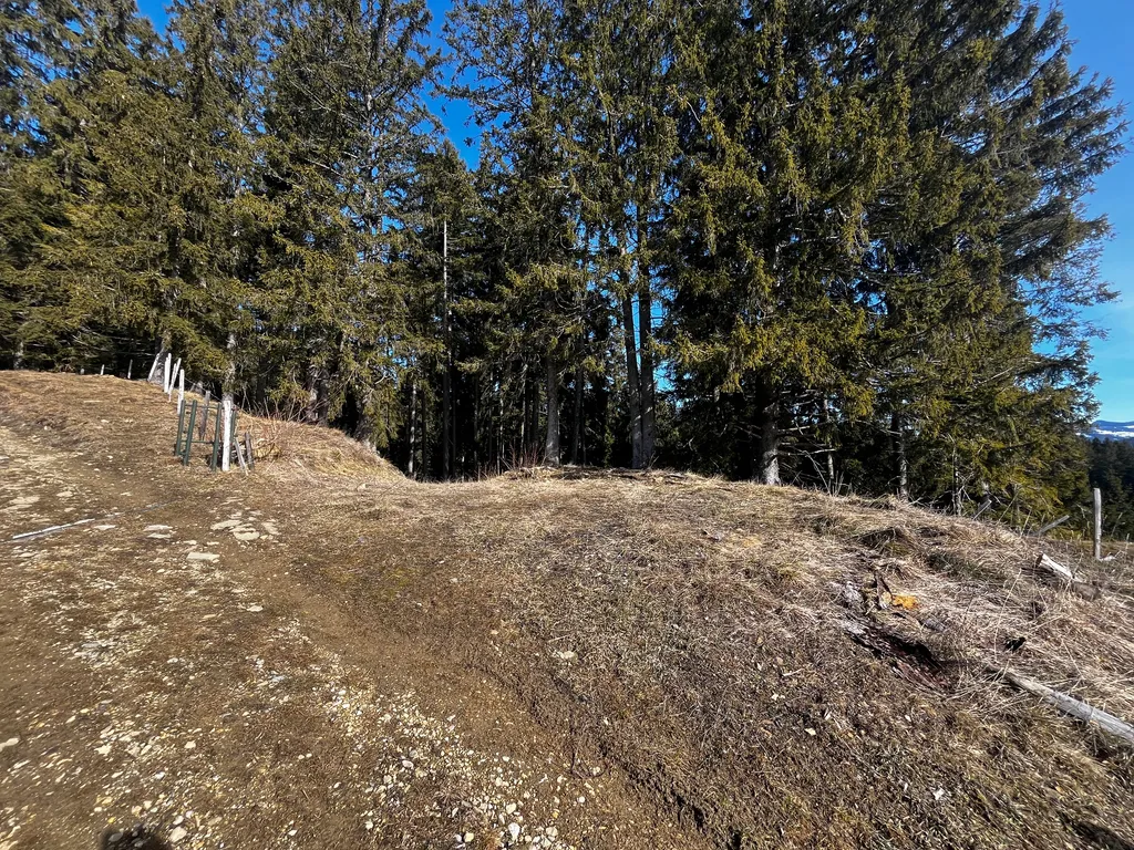 Stellplatz