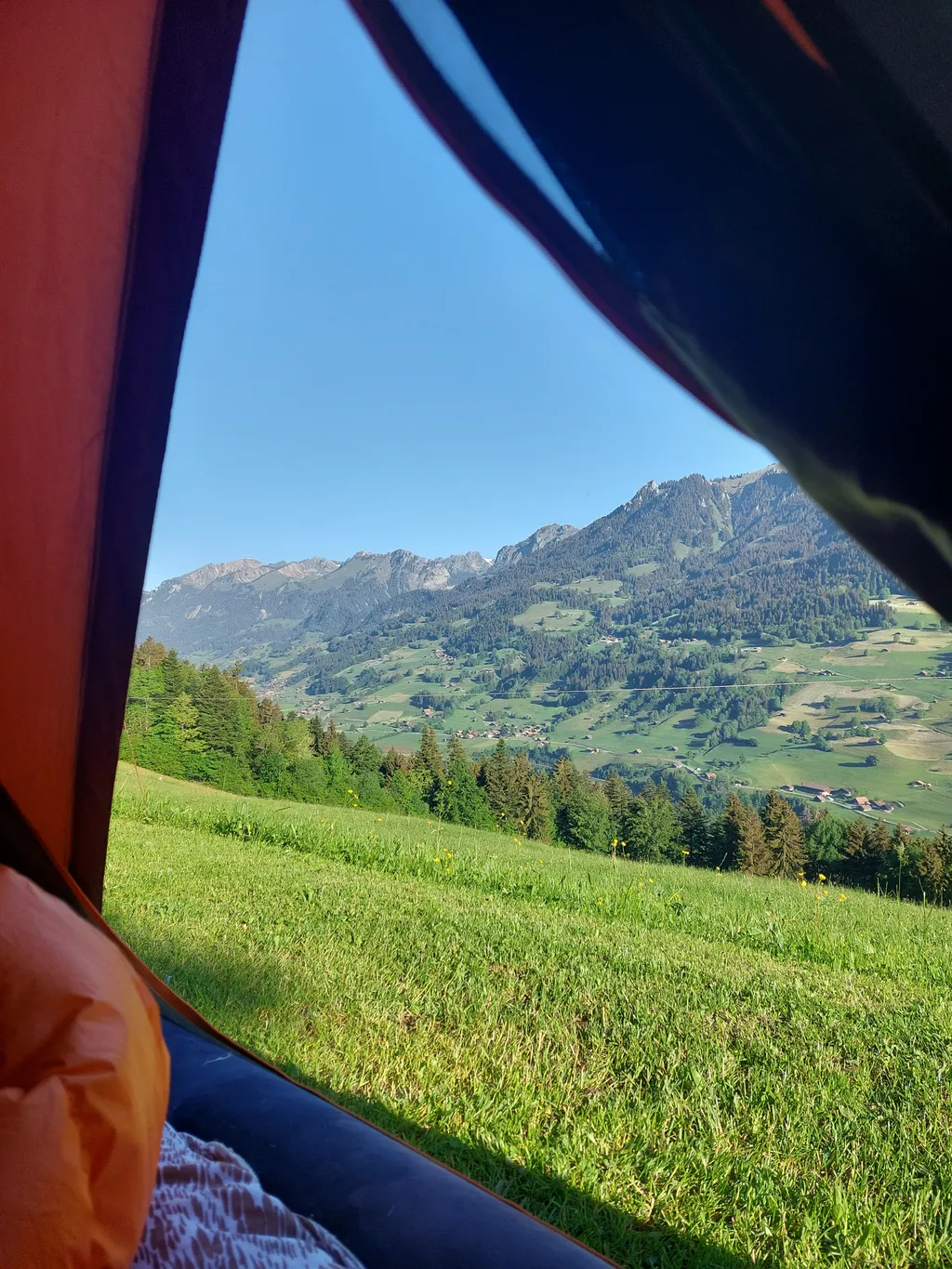 Bild von Katarzyna für den Spot 275