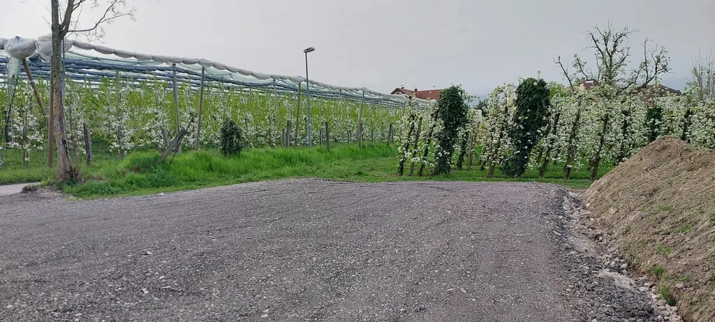 Camping Obstgarten Bodensee