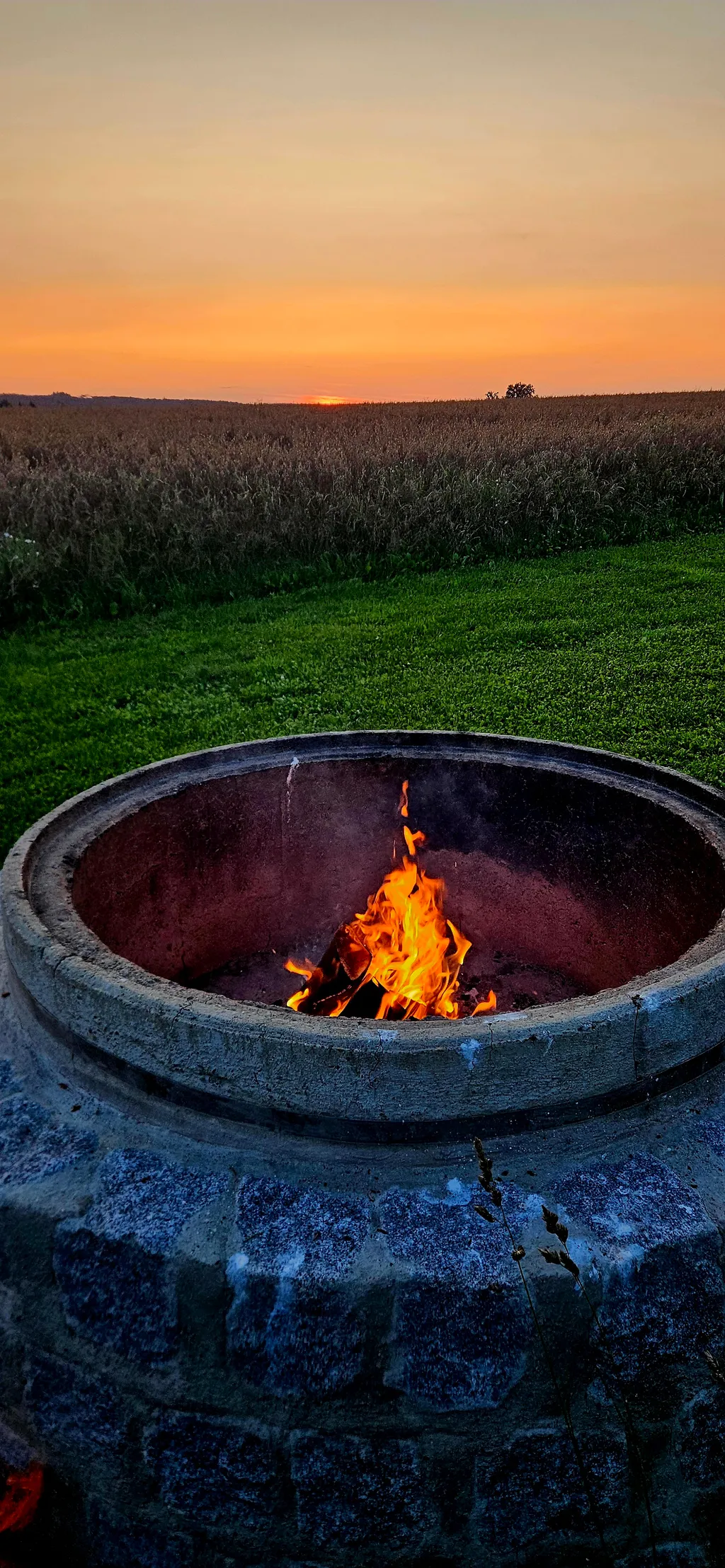 Bild von Tobi für den Spot 1439