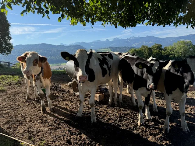 Bild von Christoph & Marianne für den Spot 3666