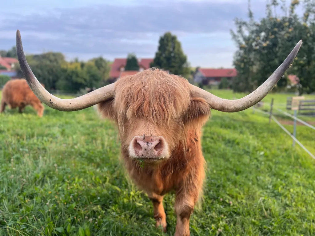 Bild von Florian für den Spot 1753