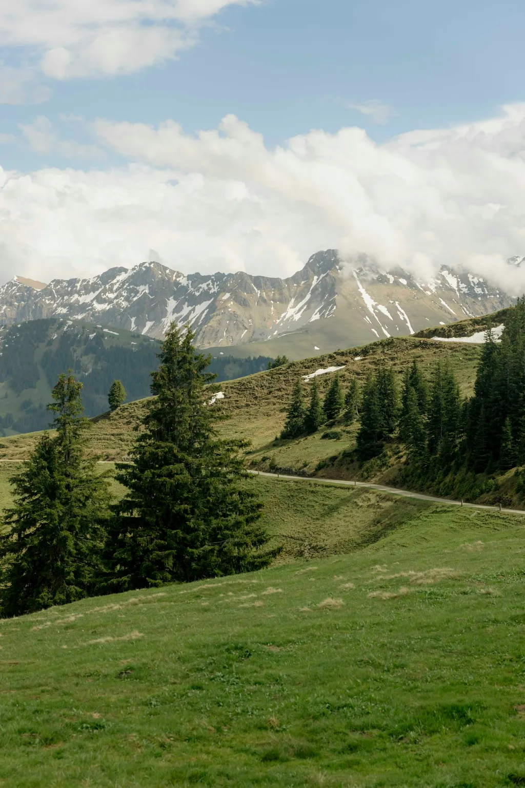 Alp Grosser Schwyberg.ch