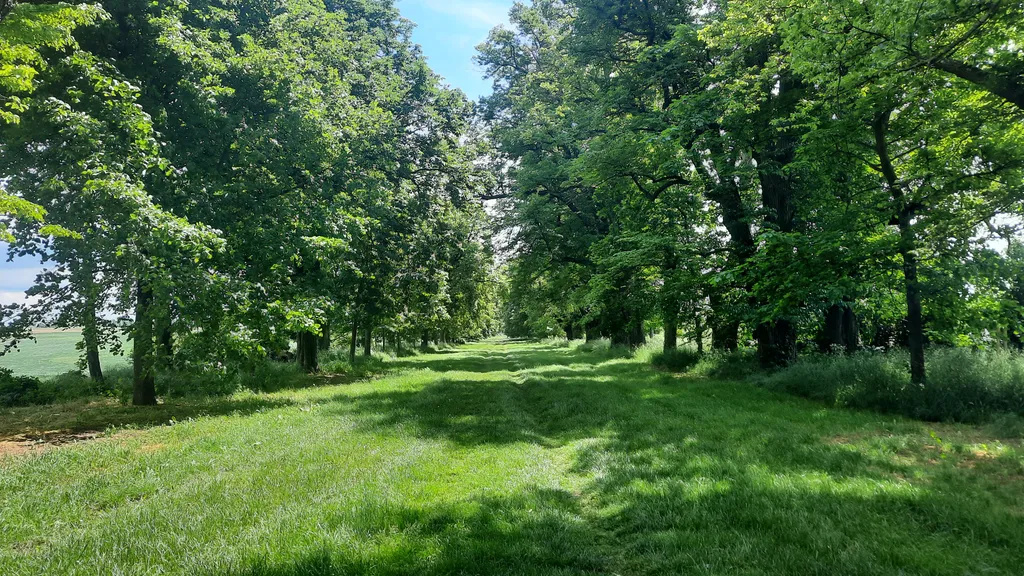 Festwiese beim Gemeindezentrum Ladendorf