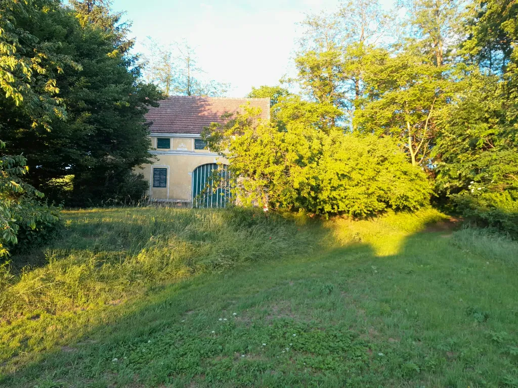 Idyllische Wiese & Traisentalblick