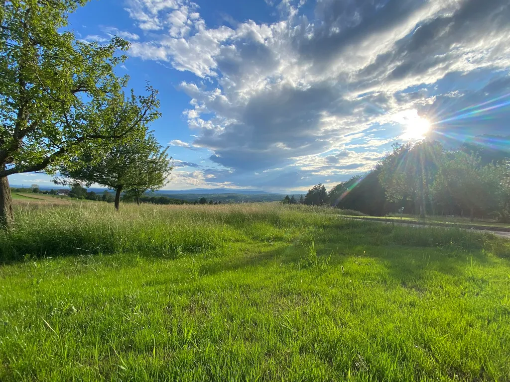 Schwarzwaldcamping in Freiamt