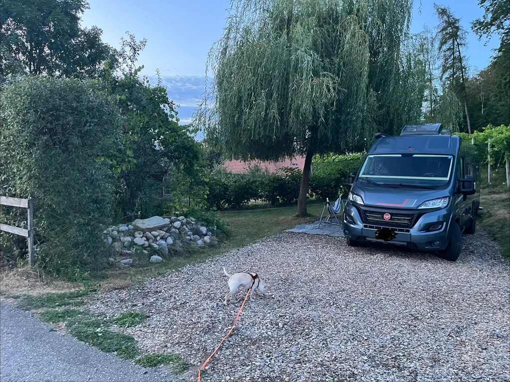 Bild von Jenny für den Spot 1259