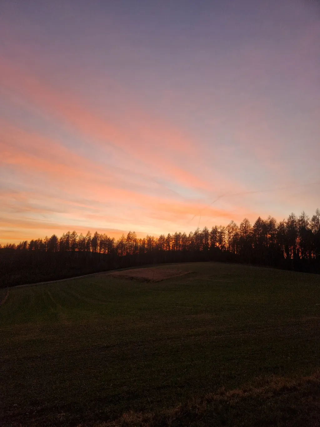 Bild von Sandra für den Spot 1663