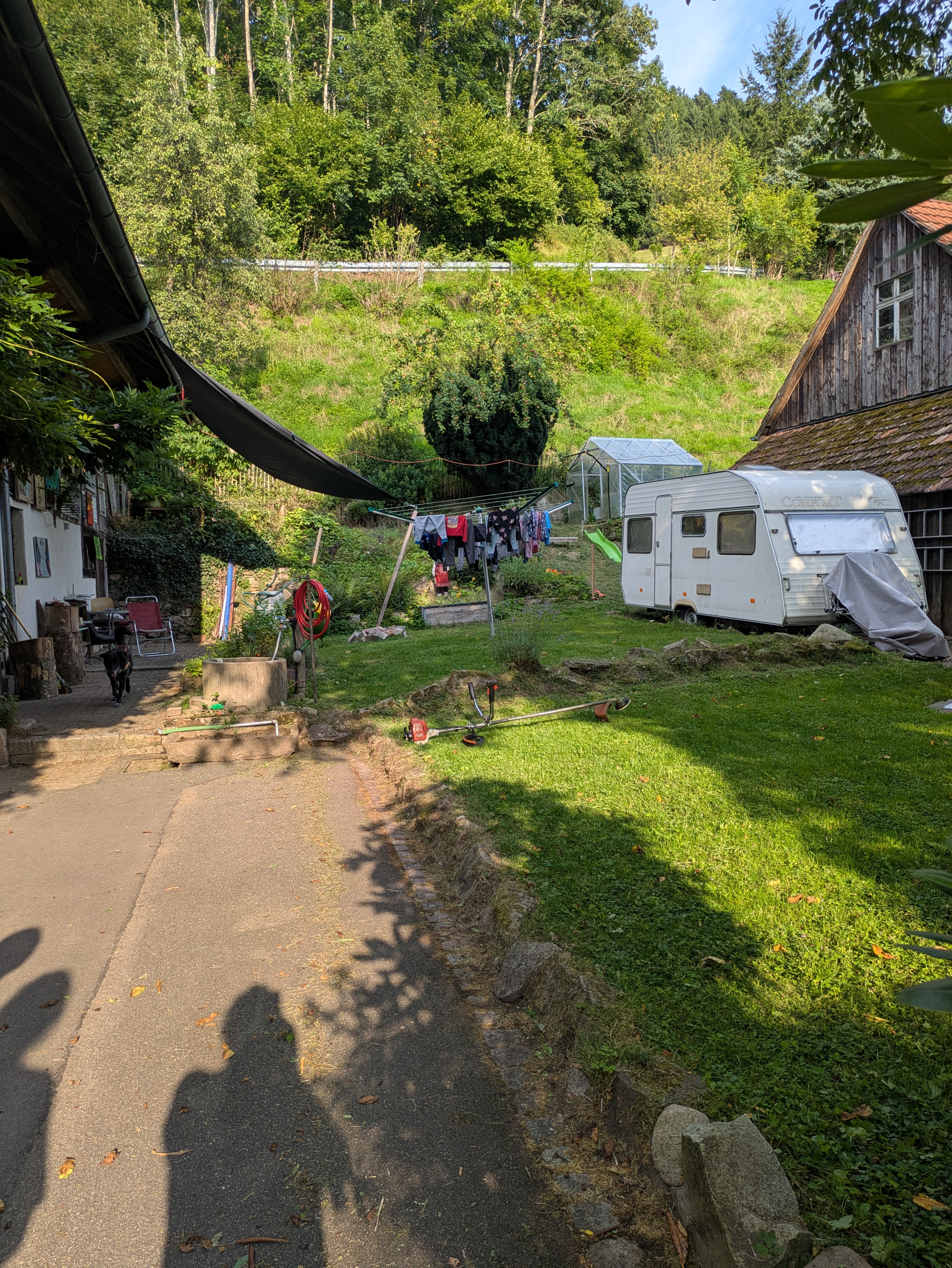 Happy Bürchau — photo 2