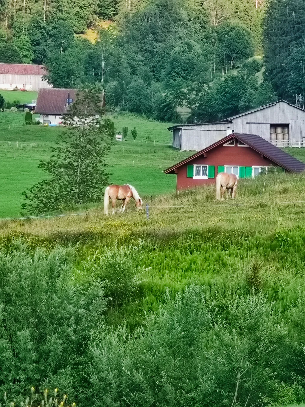 Image by Susanne for spot 389