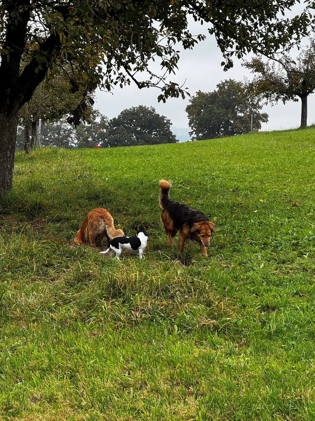 Bild von Raphael für den Spot 224