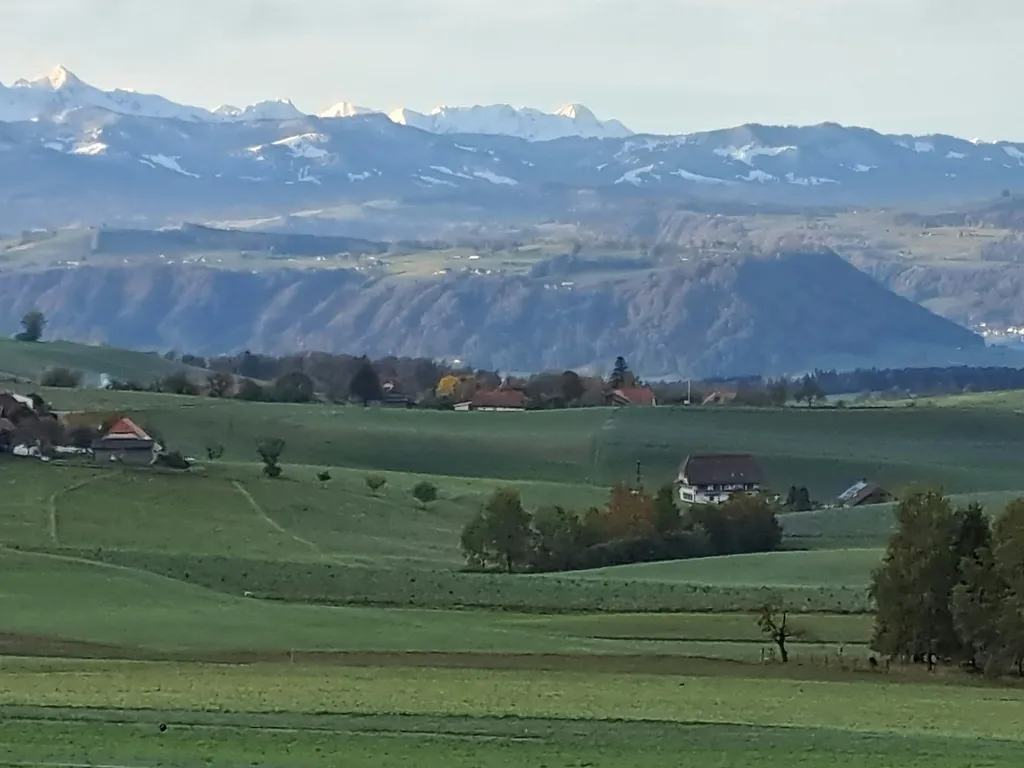 Naturwellness pur