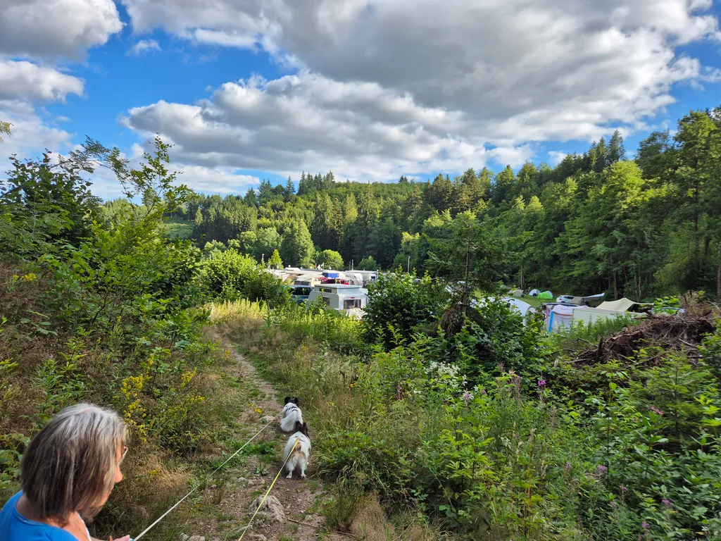 Bild von Thomas für den Spot 2542