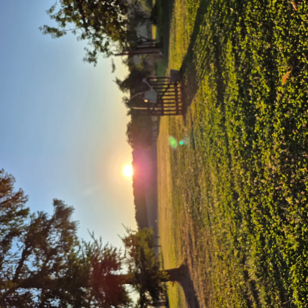 Zwischen Obstbäumen mit Weitblick