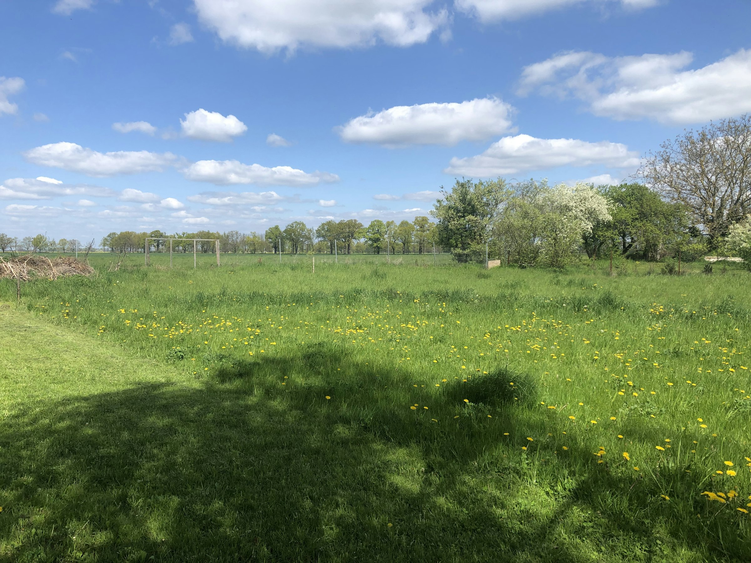 Wiese mit ODER ohne Service