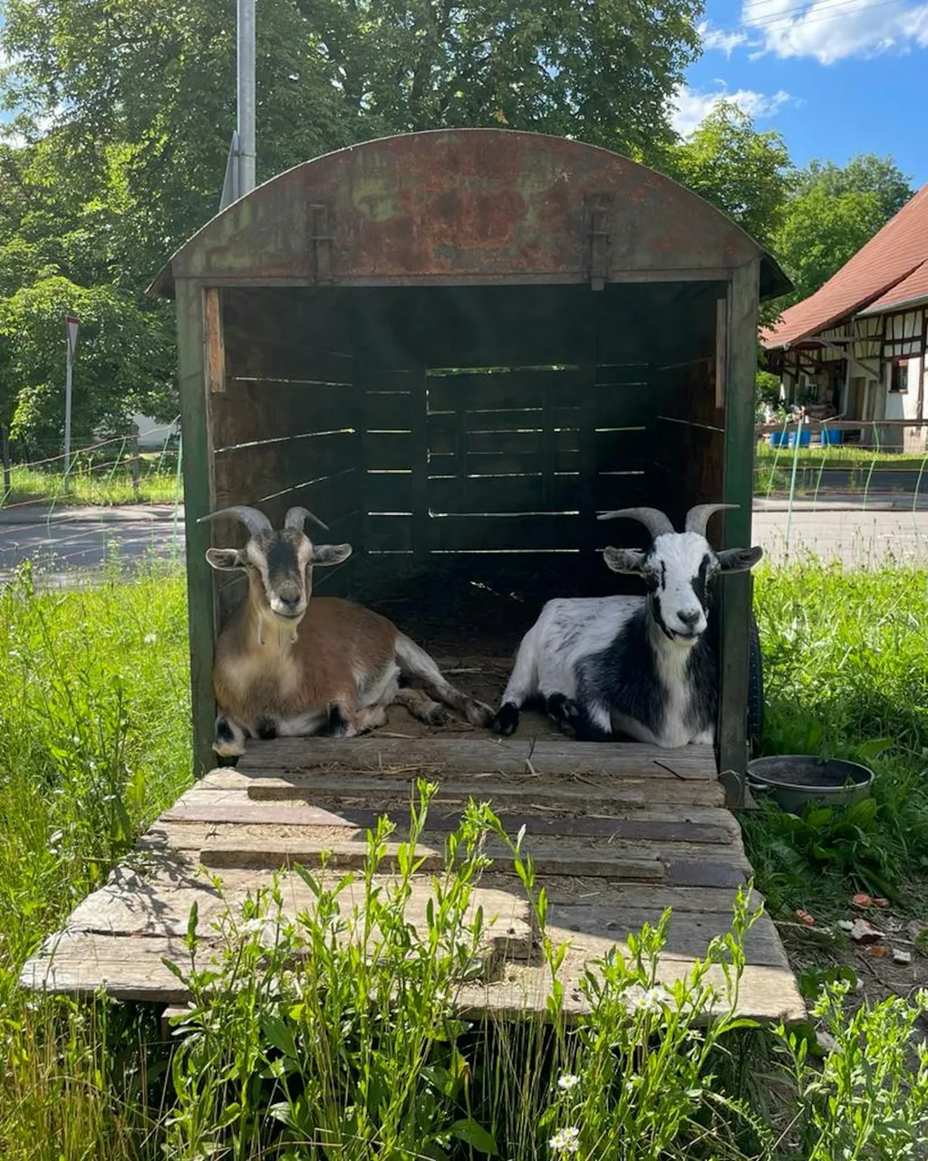 Dreher Hof in Grasbeuren