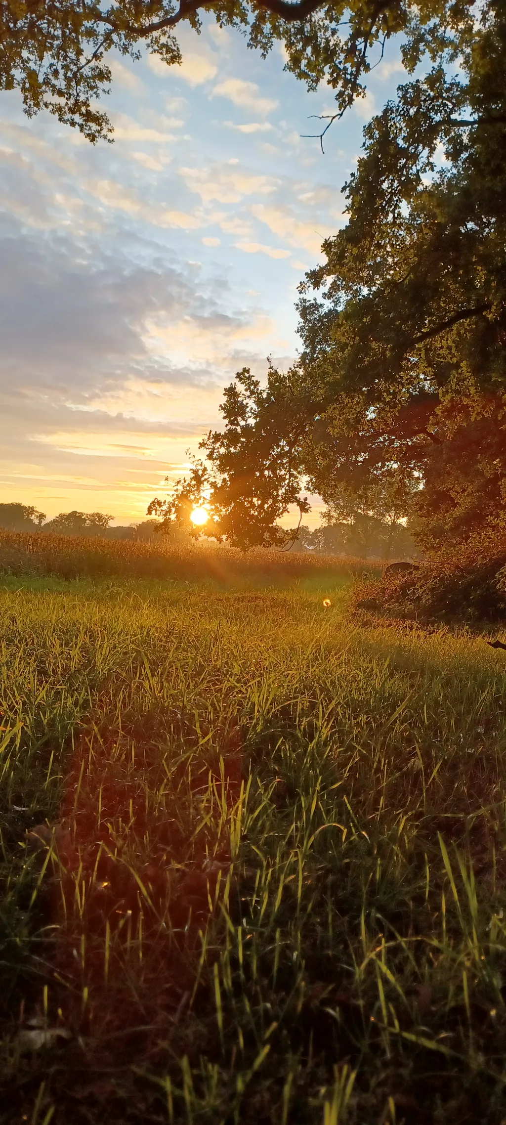 von der Hütte aus den Sonnenuntergang genießen
