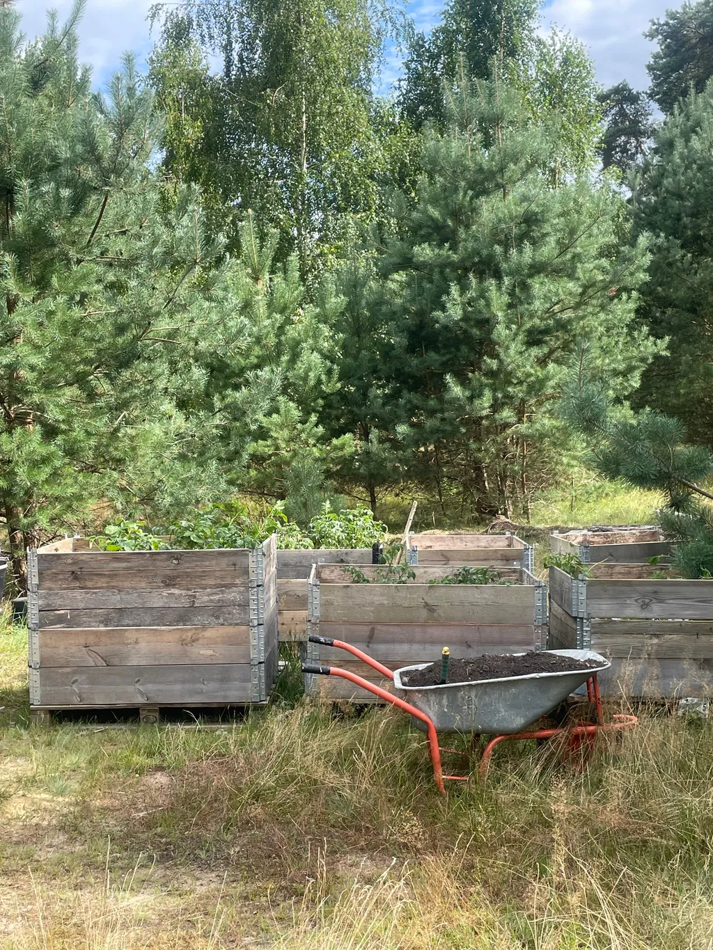 Der wilde Garten