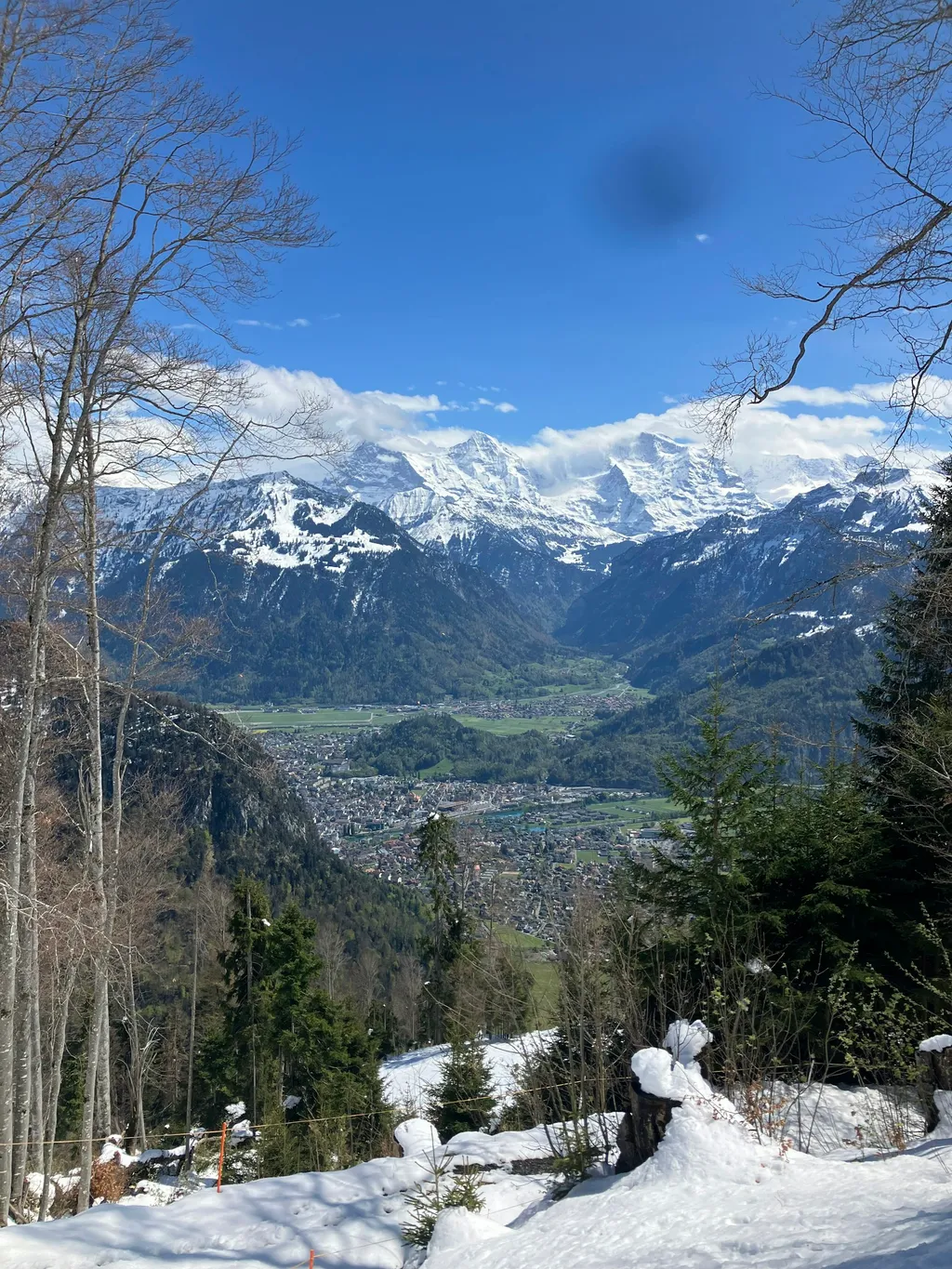 Foto del profilo di Michael