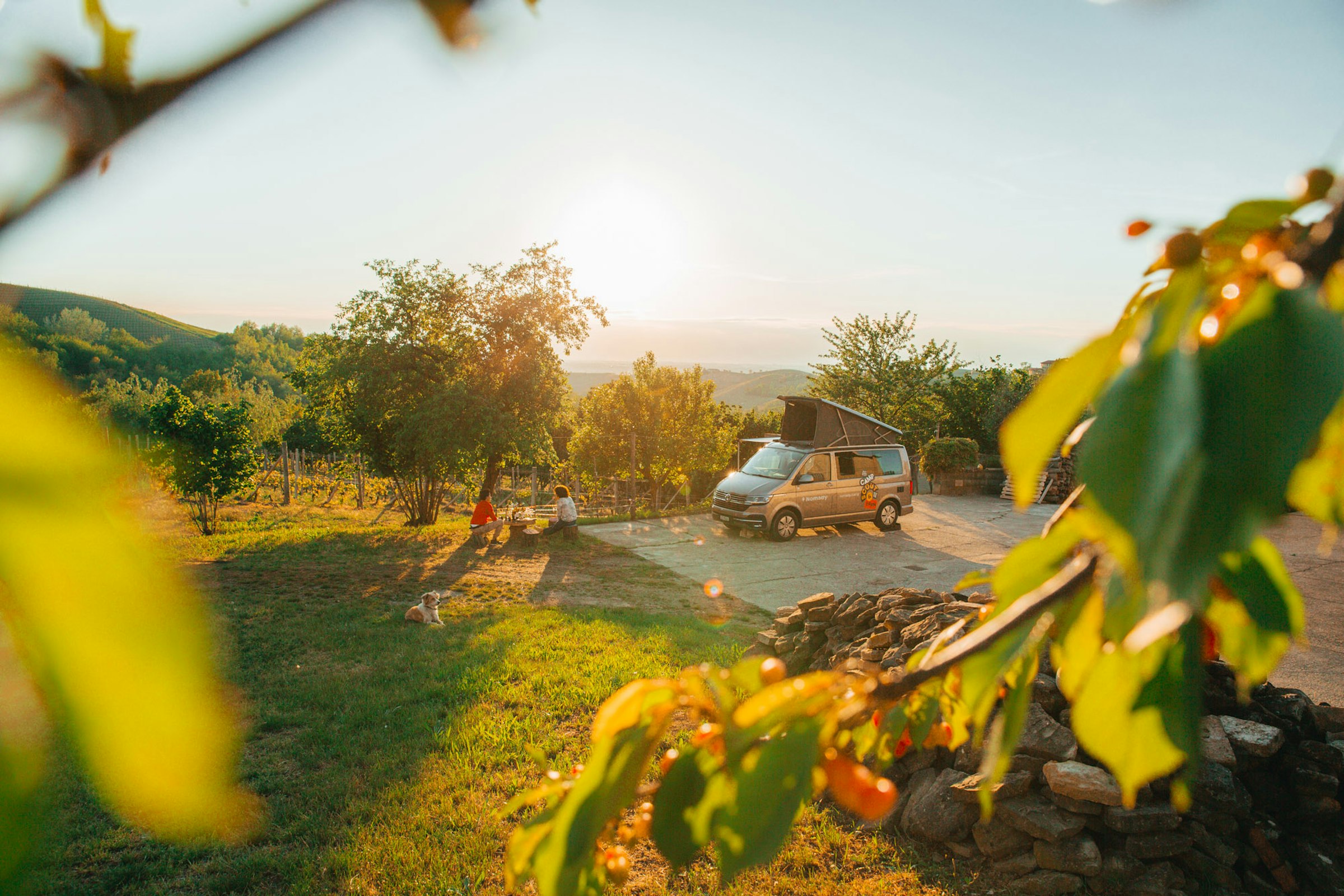 Camp Eraldo Revelli 🍷