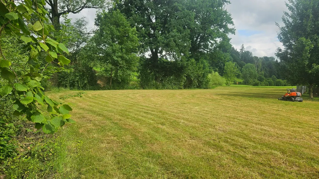 Platz direkt neben Bach mit Hecke.