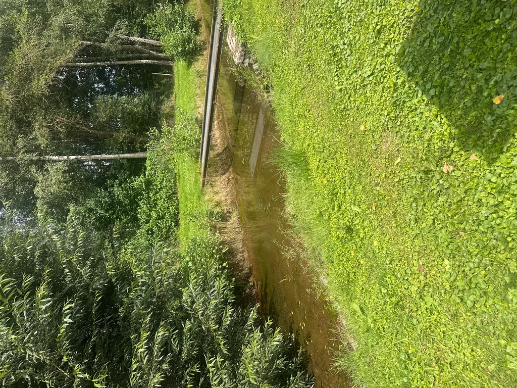 Bild von Lena für den Spot 4306